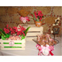 DIFERENTES COPONES DE VIDRIO PARA TU BUFFET