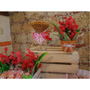 BUFFET DE DULCES, POSTRES & SNACKS