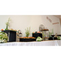 BARRA DE SUSHIS BODA CIVIL