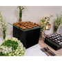 BODA CIVIL BARRA DE POSTRES