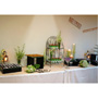 BARRA DE POSTRES BODA CIVIL