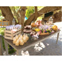 BARRAS DE DULCES