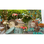 BARRA DE SNACKS BODA
