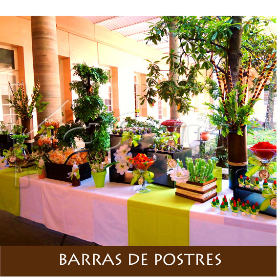 BARRAS DE POSTRES