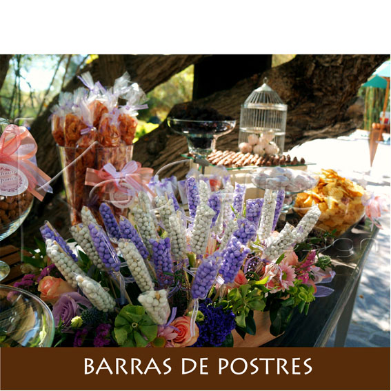 BARRAS DE POSTRES