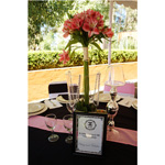 CENTROS DE MESA Y DECORACION