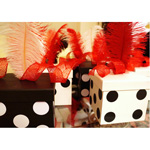 FIESTA DE CASINO