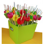 POPOTES TROPICALES