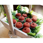 MANZANAS CUBIERTAS DE TAMARINDO