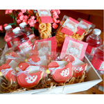 BABY KITS PARA EL HOSPITAL