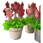 BOUQUET METALICO CON GALLETAS DE FLOR