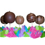MANZANAS CUBIERTAS DE CHOCOLATE