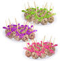MANZANAS CUBIERTAS DE CHOCOLATE CON NUEZ 